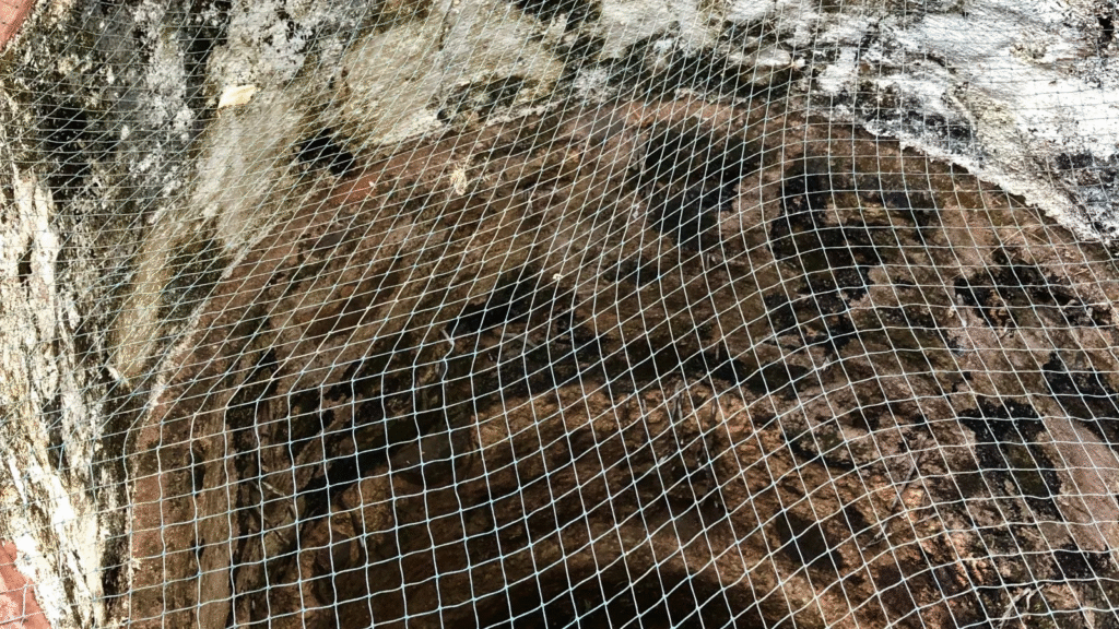 Taş ve tuğla kemerli tarihi yapı açıklığının önünde ağ uygulaması